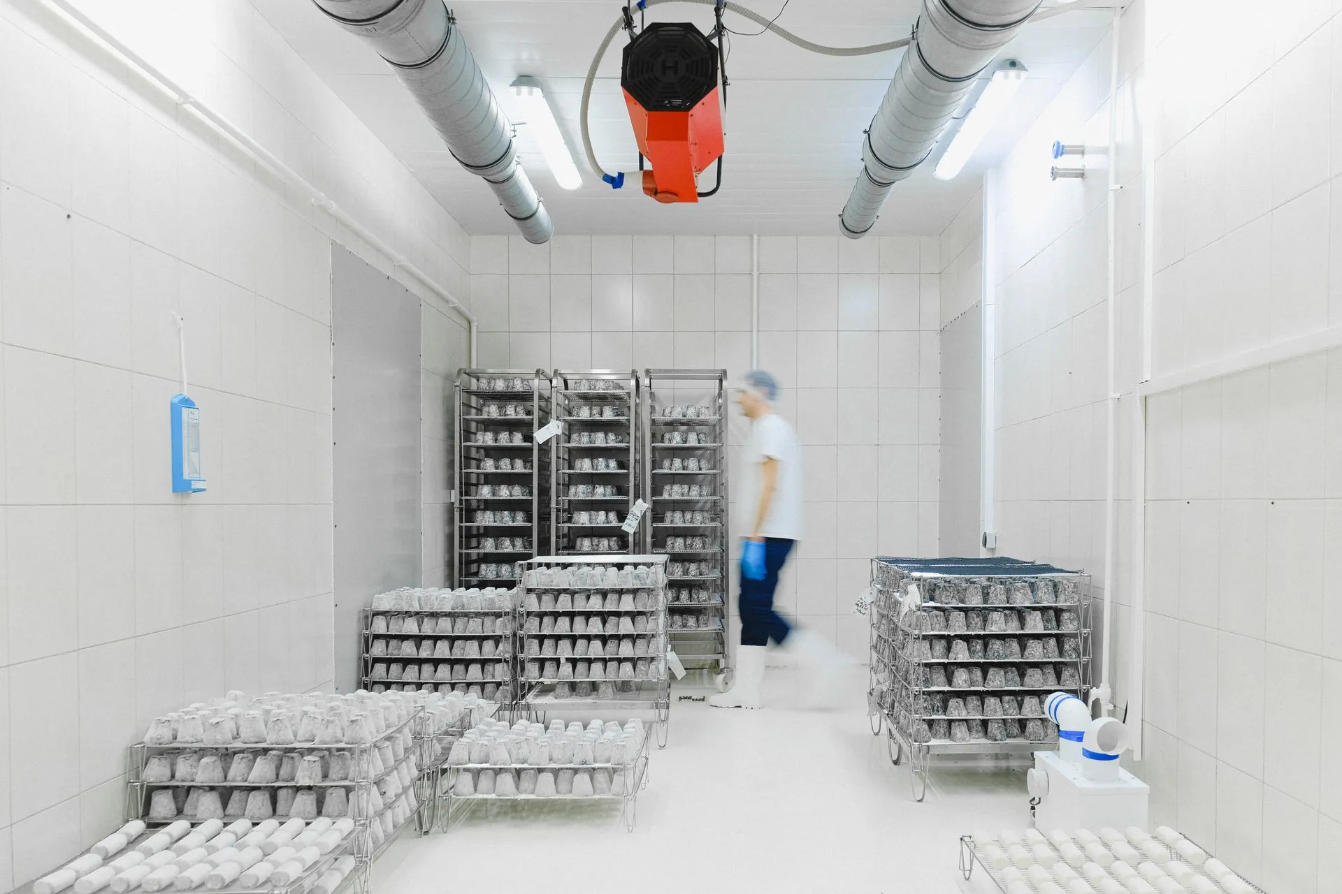 Imagem de capa: caixas de produtos descartados ao lado de uma câmara fria, com etiqueta de perda